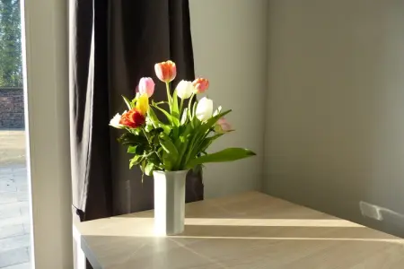 Bois Joli, Maison de vacances spacieuse avec terrasse à Beauraing - Photo 31