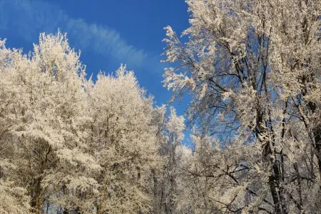 Bois Joli, Maison de vacances spacieuse avec terrasse à Beauraing - Photo 33