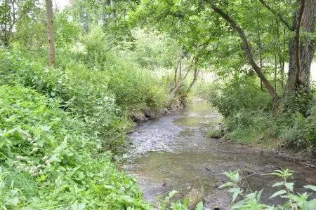 Au Pas Perdu, Maison de vacances boutique avec jardin à Beauraing - Photo 22