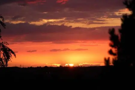 Au Pas Perdu, Maison de vacances boutique avec jardin à Beauraing - Photo 28