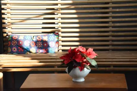 Au Pas Perdu, Maison de vacances boutique avec jardin à Beauraing - Photo 36