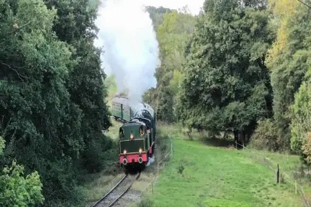 Village de Vacances Oignies 2, Chalet confortable en bois avec micro-ondes, situé en forêt - Photo 16