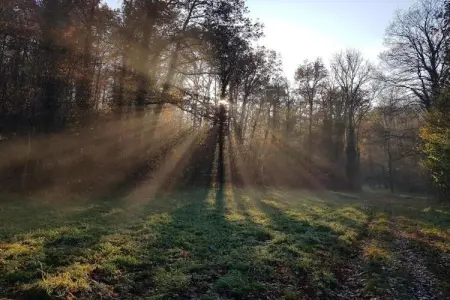 Gite du Viroin 1, Maison de vacances d'époque à Viroinval avec terrasse - Photo 23