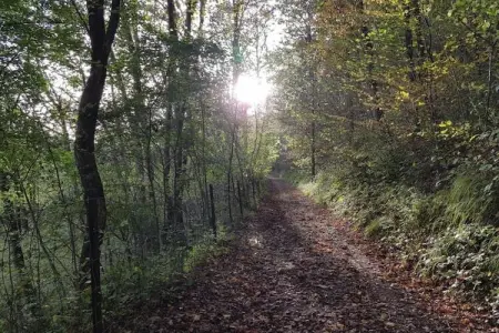 Gite du Viroin 1, Maison de vacances d'époque à Viroinval avec terrasse - Photo 24