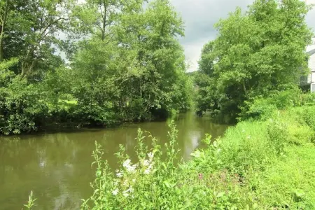 Gite du Viroin 2, Maison de vacances cosy avec jardin à Viroinvlal - Photo 33