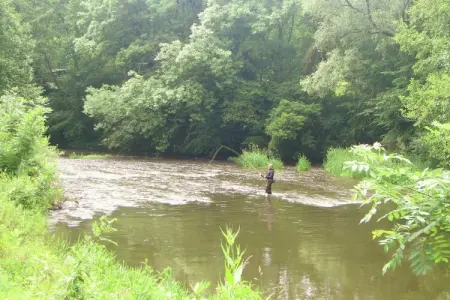 Gite du Viroin 2, Maison de vacances cosy avec jardin à Viroinvlal - Photo 34