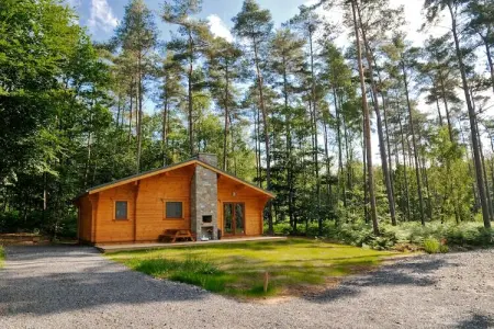 Village de Vacances Oignies 4, Chalet moderne en bois avec poêle à bois, en forêt - Photo 14