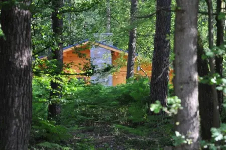 Village de Vacances Oignies 4, Chalet moderne en bois avec poêle à bois, en forêt - Photo 18