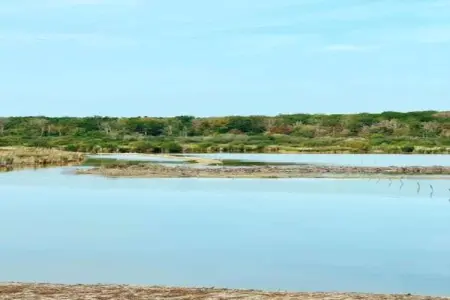 Village de Vacances Oignies 4, Chalet moderne en bois avec poêle à bois, en forêt - Photo 34
