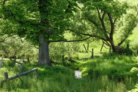 A Tchappe Mele, Ferme confortable à Brisy avec sauna - Photo 39