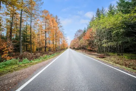 Aux Petits Nutons, Maison de vacances confortable à Cherain près de la forêt - Photo 31