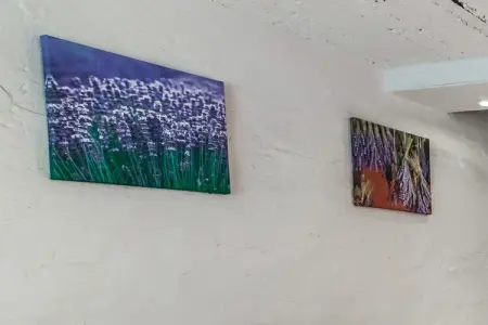 Aux Petits Nutons, Maison de vacances confortable à Cherain près de la forêt - Photo 37