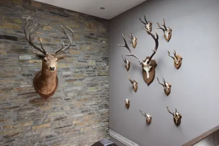 La Blanche Vignerie, Ferme patrimoniale à Lavacherie avec jacuzzi et piscine - Photo 18