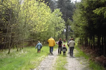 Amande, Maison de vacances confortable à Mande Saint Etienne avec jardin - Photo 41