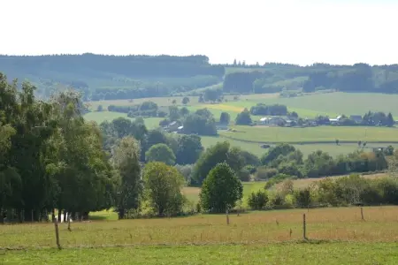 Le Chalet du Coteau, Chalet spacieux avec jardin à Vielsalm - Photo 15