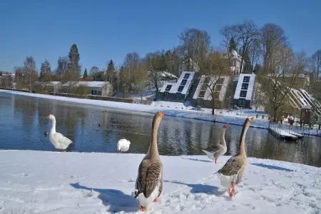 Les Doyards 1, Maison cosy, rénovée, four à micro-ondes, près de Vielsalm - Photo 27