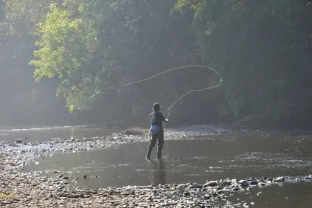 Les Doyards 1, Maison cosy, rénovée, four à micro-ondes, près de Vielsalm - Photo 31