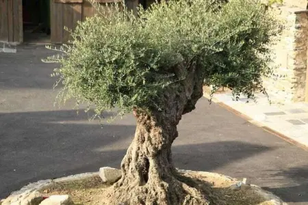 GÎTE CONTES DE SALME Lodge des Contes, Maison de vacances cosy dans les Ardennes au bord d'un lac - Photo 35