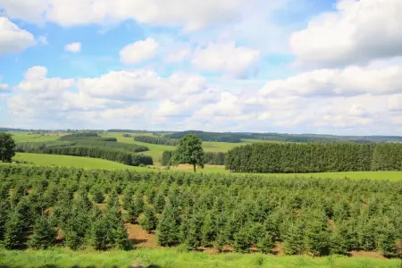 Gîte du Haut Chemin, Maison de vacances moderne à Neufchâteau avec terrasse - Photo 22