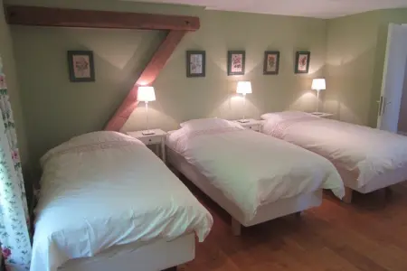 Offagne, Chalet confortable à Offagne avec barbecue - Photo 17