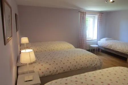 Offagne, Chalet confortable à Offagne avec barbecue - Photo 22