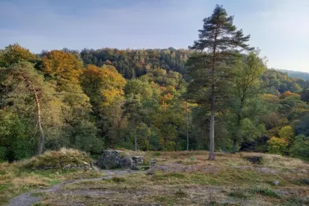 Petit Paliseul, Gîte rustique avec jardin partagé à Paliseul - Photo 21