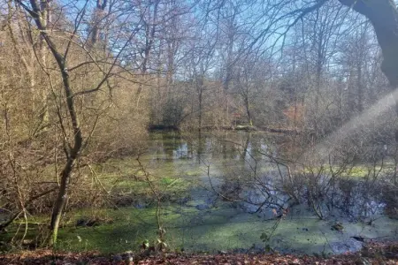 Petit Paliseul, Gîte rustique avec jardin partagé à Paliseul - Photo 24