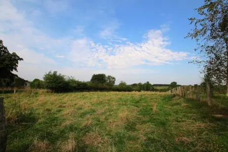 La Petite Reine, Superbe gîte à Jehonville avec sauna - Photo 31