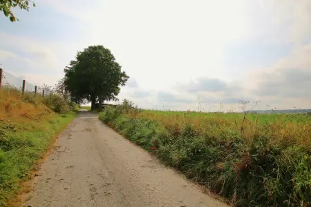 La Petite Reine, Superbe gîte à Jehonville avec sauna - Photo 32