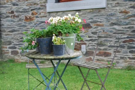 Côté Fenil, Spacieux Cottage à Jehonville avec jardin - Photo 26