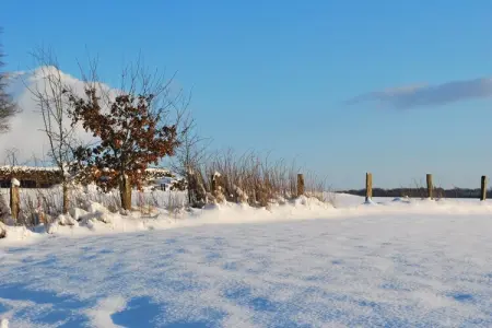Côté Fenil, Spacieux Cottage à Jehonville avec jardin - Photo 35