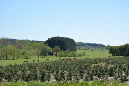La Pépinière, Chalet paisible à Jehonville avec sauna - Photo 24