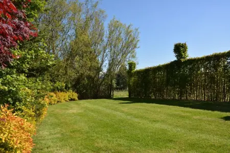 La Brocanteuse, Chalet confortable avec sauna à Jehonville - Photo 20