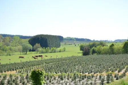La Brocanteuse, Chalet confortable avec sauna à Jehonville - Photo 22