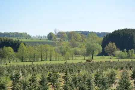 La Brocanteuse, Chalet confortable avec sauna à Jehonville - Photo 24