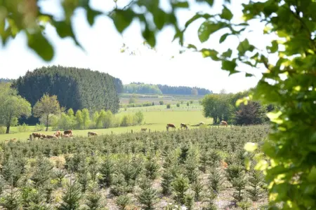 La Brocanteuse, Chalet confortable avec sauna à Jehonville - Photo 25