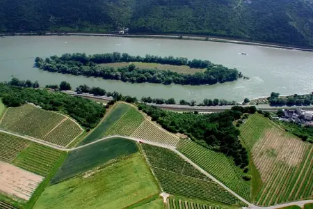 Le grain d orge, Maison de vacances moderne à Libin avec barbecue - Photo 30
