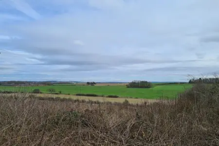 La Cîtaudine, Maison de vacances spacieuse à Humain avec jardin - Photo 39