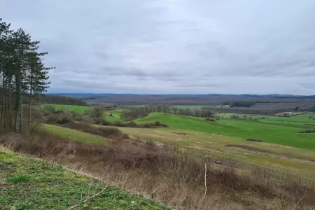 La Cîtaudine, Maison de vacances spacieuse à Humain avec jardin - Photo 40