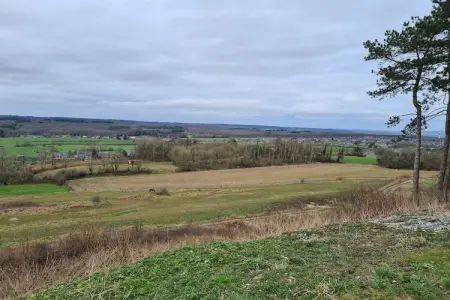 La Cîtaudine, Maison de vacances spacieuse à Humain avec jardin - Photo 41