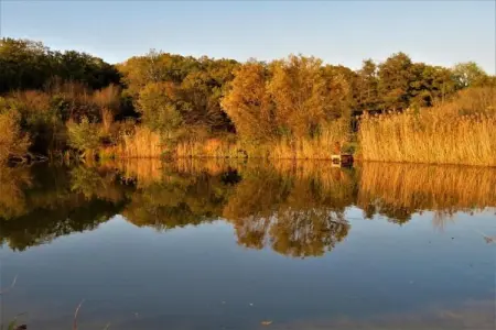 Li Vêrt Veschau, Ferme spacieuse avec terrasse à Wellin - Photo 32