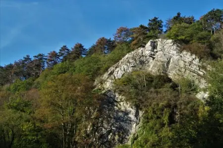 Li Vêrt Veschau, Ferme spacieuse avec terrasse à Wellin - Photo 35