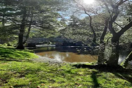 Li Vêrt Veschau, Ferme spacieuse avec terrasse à Wellin - Photo 36