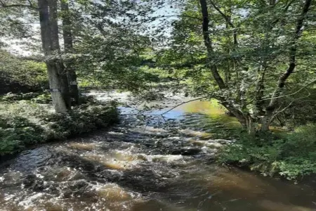 Li Vêrt Veschau, Ferme spacieuse avec terrasse à Wellin - Photo 37