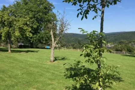 Villa Francine, Villa spacieuse à Daverdisse avec grand jardin et vue magnifique - Photo 29