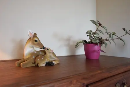 Le Charme de la Forêt, Maison de vacances moderne à Daverdisse avec jardin - Photo 31