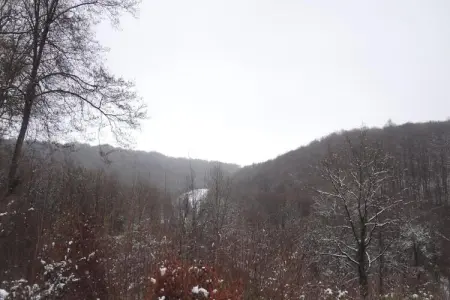 Poppenhuis, Adorable maison de vacances avec jardin à Durbuy - Photo 38
