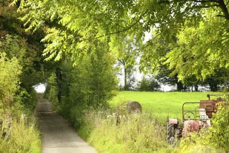 De Kleine Beer, Beau chalet en bois près de Durbuy avec balcon privé - Photo 23