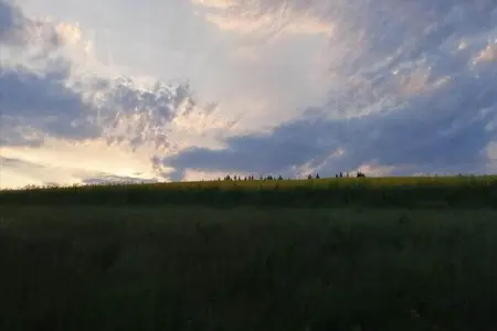 De Kleine Beer, Beau chalet en bois près de Durbuy avec balcon privé - Photo 24