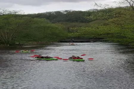 De Kleine Beer, Beau chalet en bois près de Durbuy avec balcon privé - Photo 26